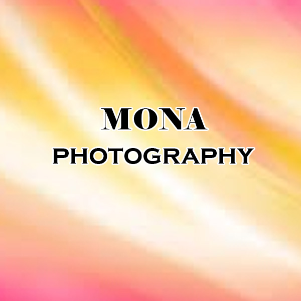 https://www.evnzon.in/service_pic/212/mona-digital-studio-stills-videos-1671363187.jpg