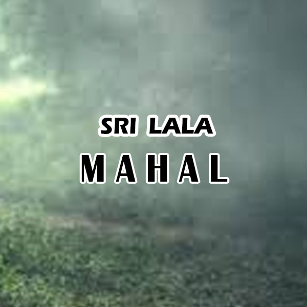 https://www.evnzon.in/service_pic/269/sri-lala-mahal-1671461351.jpg