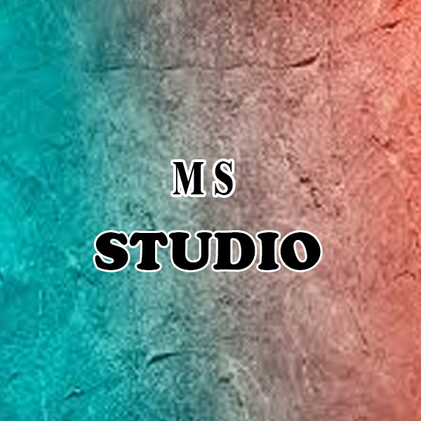 https://www.evnzon.in/service_pic/366/ms-studio-1671370919.jpg