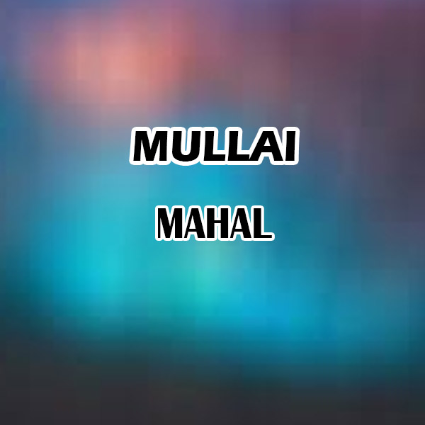 https://www.evnzon.in/service_pic/404/mullai-mahal-1671461805.jpg